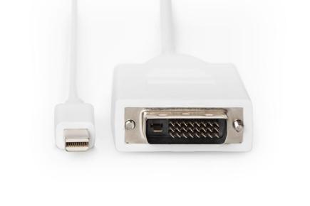 DisplayPort adapter cable, mini DP - DVI(24+1)
